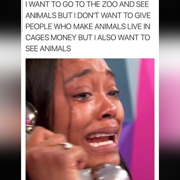 MEMEMMEMEEEEEEEEEEEEEMES!!!! Pt. 1 - Picture 15 of 16